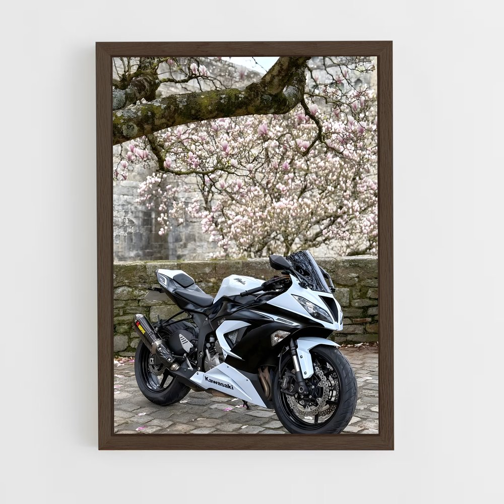 Poster Ninja en Liberté (vue 5)